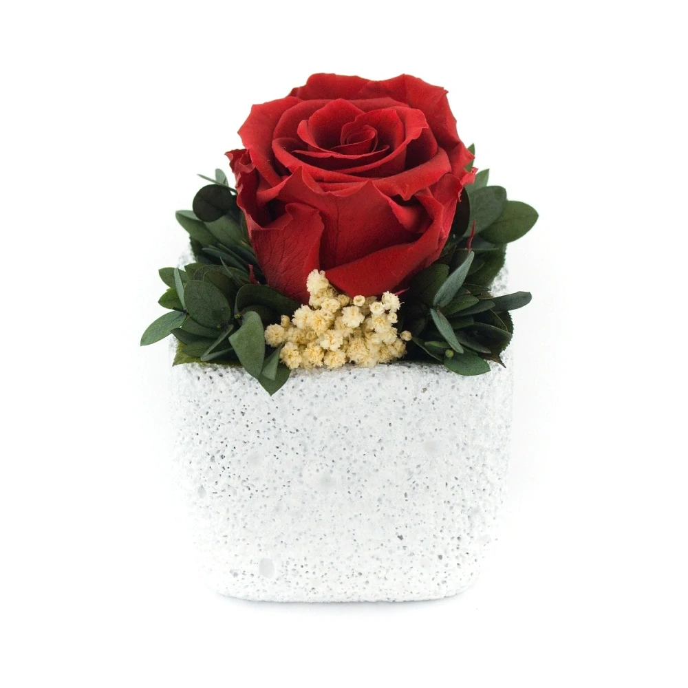 Sára LIGHT - aranžmá ze stabilizovaných rostlin